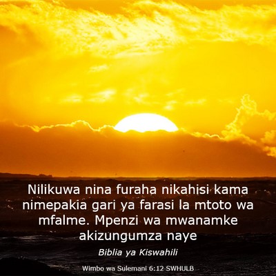 Picture 03 - Wimbo wa Sulemani 6:12 SWHULB - Nilikuwa nina furaha nikahisi kama nimepakia gari - Bible Verse Picture