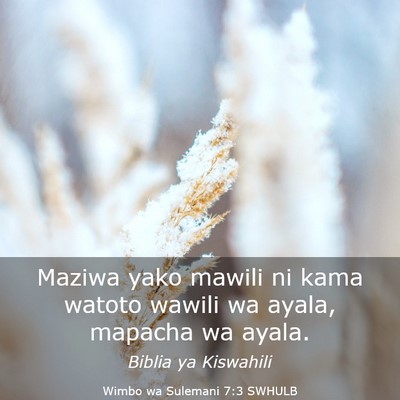 Picture 03 - Wimbo wa Sulemani 7:3 SWHULB - Maziwa yako mawili ni kama watoto wawili wa - Bible Verse Picture