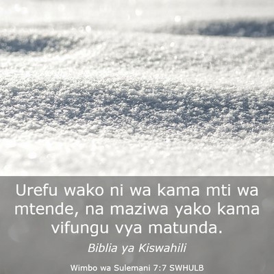 Picture 03 - Wimbo wa Sulemani 7:7 SWHULB - Urefu wako ni wa kama mti wa mtende, na maziwa - Bible Verse Picture