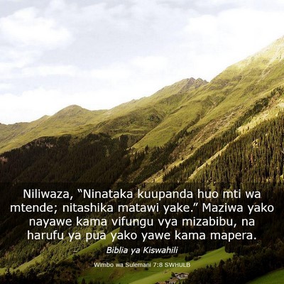 Picture 03 - Wimbo wa Sulemani 7:8 SWHULB - Niliwaza, “Ninataka kuupanda huo mti wa mtende; - Bible Verse Picture