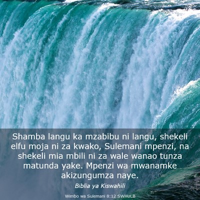 Picture 03 - Wimbo wa Sulemani 8:12 SWHULB - Shamba langu ka mzabibu ni langu, shekeli elfu - Bible Verse Picture