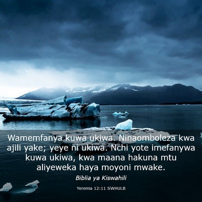 Picture 03 - Yeremia 12:11 SWHULB - Wamemfanya kuwa ukiwa. Ninaomboleza kwa ajili - Bible Verse Picture