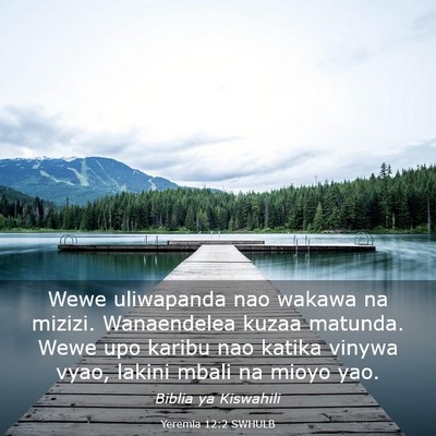 Picture 03 - Yeremia 12:2 SWHULB - Wewe uliwapanda nao wakawa na mizizi. Wanaendelea - Bible Verse Picture