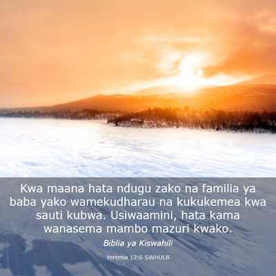 Picture 03 - Yeremia 12:6 SWHULB - Kwa maana hata ndugu zako na familia ya baba yako - Bible Verse Picture
