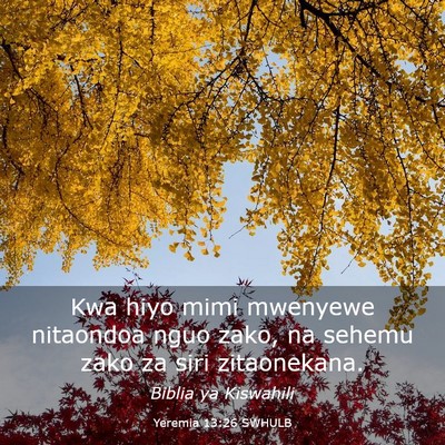 Picture 03 - Yeremia 13:26 SWHULB - Kwa hiyo mimi mwenyewe nitaondoa nguo zako, na - Bible Verse Picture