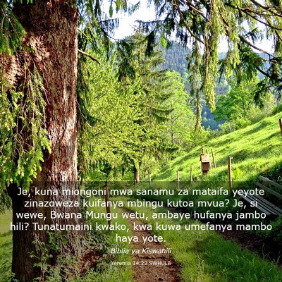 Picture 03 - Yeremia 14:22 SWHULB - Je, kuna miongoni mwa sanamu za mataifa yeyote - Bible Verse Picture