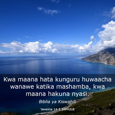 Picture 03 - Yeremia 14:5 SWHULB - Kwa maana hata kunguru huwaacha wanawe katika - Bible Verse Picture