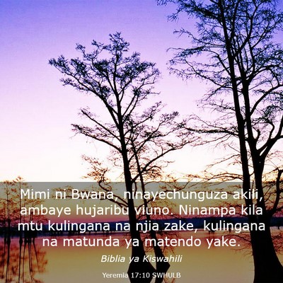 Picture 03 - Yeremia 17:10 SWHULB - Mimi ni Bwana, ninayechunguza akili, ambaye - Bible Verse Picture