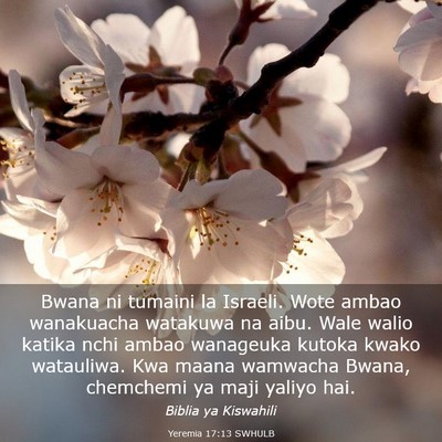 Picture 03 - Yeremia 17:13 SWHULB - Bwana ni tumaini la Israeli. Wote ambao - Bible Verse Picture