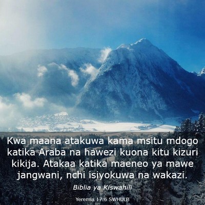Picture 03 - Yeremia 17:6 SWHULB - Kwa maana atakuwa kama msitu mdogo katika Araba - Bible Verse Picture