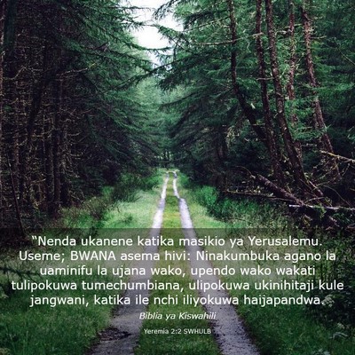 Picture 03 - Yeremia 2:2 SWHULB - “Nenda ukanene katika masikio ya Yerusalemu. - Bible Verse Picture