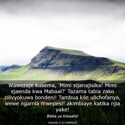 Picture 03 - Yeremia 2:23 SWHULB - Wawezaje kusema, 'Mimi sijanajisika! Mimi sjaenda - Bible Verse Picture