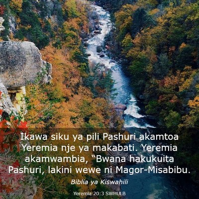 Picture 03 - Yeremia 20:3 SWHULB - Ikawa siku ya pili Pashuri akamtoa Yeremia nje ya - Bible Verse Picture