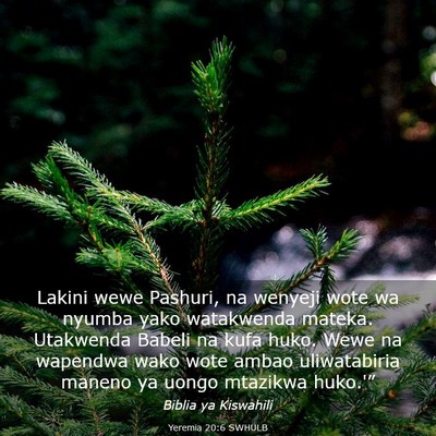 Picture 03 - Yeremia 20:6 SWHULB - Lakini wewe Pashuri, na wenyeji wote wa nyumba - Bible Verse Picture