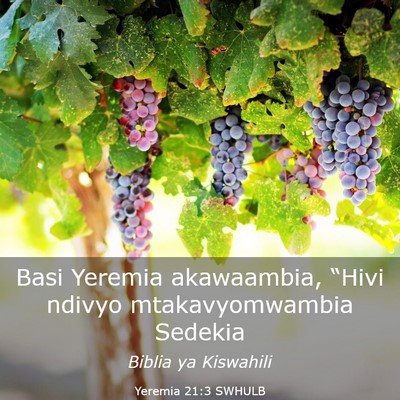 Picture 03 - Yeremia 21:3 SWHULB - Basi Yeremia akawaambia, “Hivi ndivyo - Bible Verse Picture