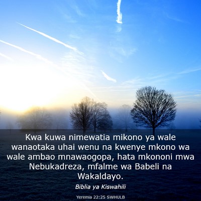 Picture 03 - Yeremia 22:25 SWHULB - Kwa kuwa nimewatia mikono ya wale wanaotaka uhai - Bible Verse Picture