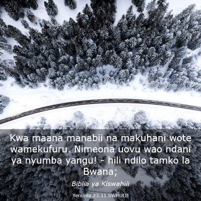 Picture 03 - Yeremia 23:11 SWHULB - Kwa maana manabii na makuhani wote wamekufuru. - Bible Verse Picture