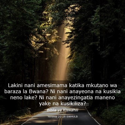 Picture 03 - Yeremia 23:18 SWHULB - Lakini nani amesimama katika mkutano wa baraza la - Bible Verse Picture