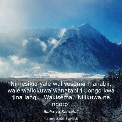 Picture 03 - Yeremia 23:25 SWHULB - Nimesikia yale waliyosema manabii, wale waliokuwa - Bible Verse Picture