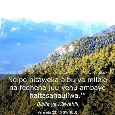 Picture 03 - Yeremia 23:40 SWHULB - Ndipo nitaweka aibu ya milele na fedheha juu yenu - Bible Verse Picture