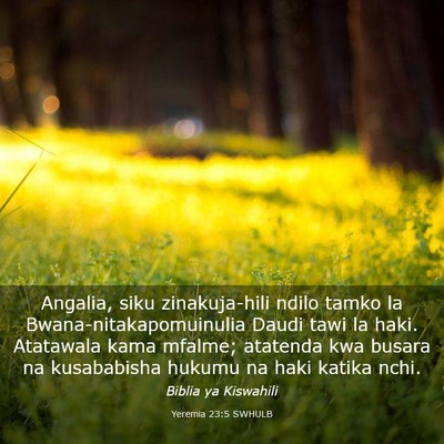 Picture 03 - Yeremia 23:5 SWHULB - Angalia, siku zinakuja-hili ndilo tamko la - Bible Verse Picture