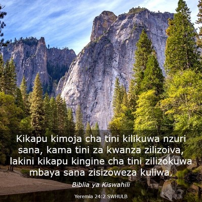 Picture 03 - Yeremia 24:2 SWHULB - Kikapu kimoja cha tini kilikuwa nzuri sana, kama - Bible Verse Picture