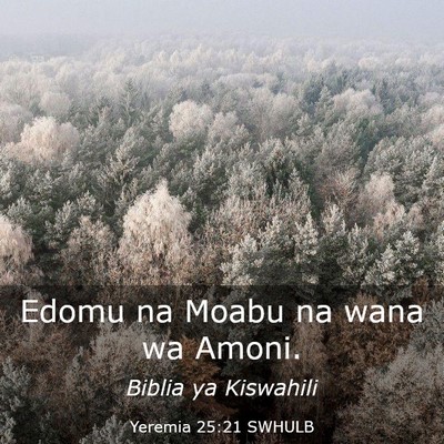 Picture 03 - Yeremia 25:21 SWHULB - Edomu na Moabu na wana wa - Bible Verse Picture