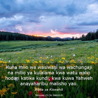 Picture 03 - Yeremia 25:36 SWHULB - Kuna mlio wa wasiwasi wa wachungaji na milio ya - Bible Verse Picture
