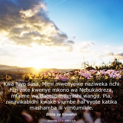Picture 03 - Yeremia 27:6 SWHULB - Kwa hiyo sasa, Mimi mwenyewe naziweka nchi hizi - Bible Verse Picture
