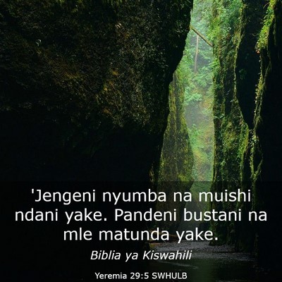 Picture 03 - Yeremia 29:5 SWHULB - 'Jengeni nyumba na muishi ndani yake. Pandeni - Bible Verse Picture