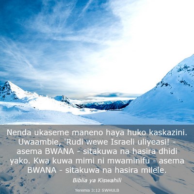 Picture 03 - Yeremia 3:12 SWHULB - Nenda ukaseme maneno haya huko kaskazini. - Bible Verse Picture