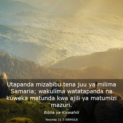 Picture 03 - Yeremia 31:5 SWHULB - Utapanda mizabibu tena juu ya milima Samaria; - Bible Verse Picture