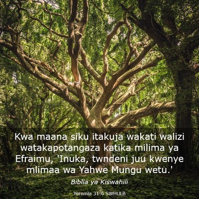 Picture 03 - Yeremia 31:6 SWHULB - Kwa maana siku itakuja wakati walizi - Bible Verse Picture