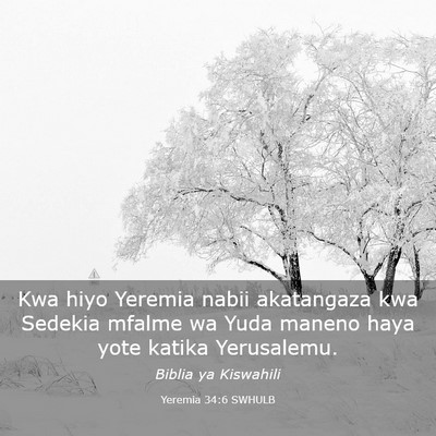 Picture 03 - Yeremia 34:6 SWHULB - Kwa hiyo Yeremia nabii akatangaza kwa Sedekia - Bible Verse Picture