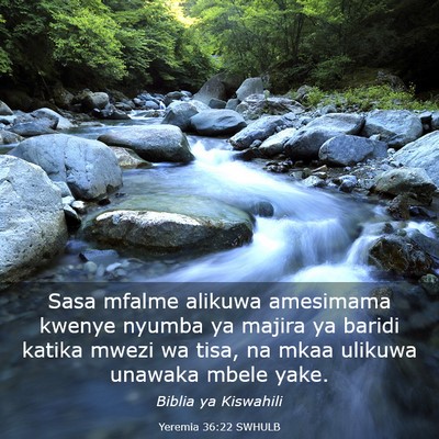 Picture 03 - Yeremia 36:22 SWHULB - Sasa mfalme alikuwa amesimama kwenye nyumba ya - Bible Verse Picture