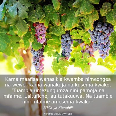 Picture 03 - Yeremia 38:25 SWHULB - Kama maafisa wanasikia kwamba nimeongea na wewe- - Bible Verse Picture