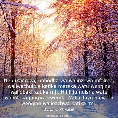 Picture 03 - Yeremia 39:9 SWHULB - Nebukadreza, nahodha wa walinzi wa mfalme, - Bible Verse Picture