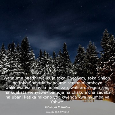 Picture 03 - Yeremia 41:5 SWHULB - Wanaume baadhi walikuja toka Shechem, toka - Bible Verse Picture