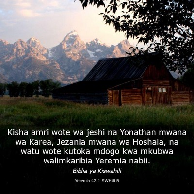 Picture 03 - Yeremia 42:1 SWHULB - Kisha amri wote wa jeshi na Yonathan mwana wa - Bible Verse Picture