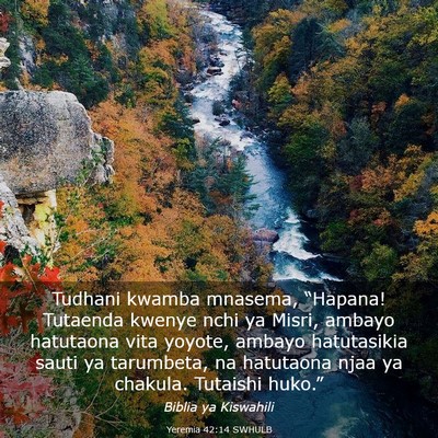 Picture 03 - Yeremia 42:14 SWHULB - Tudhani kwamba mnasema, “Hapana! Tutaenda - Bible Verse Picture