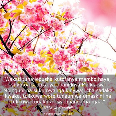 Picture 03 - Yeremia 44:18 SWHULB - Wakati tunajiepusha kutofanya mambo haya, si - Bible Verse Picture