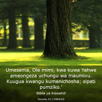 Picture 03 - Yeremia 45:3 SWHULB - Umesema, Ole mimi, kwa kuwa Yahwe ameongeza - Bible Verse Picture