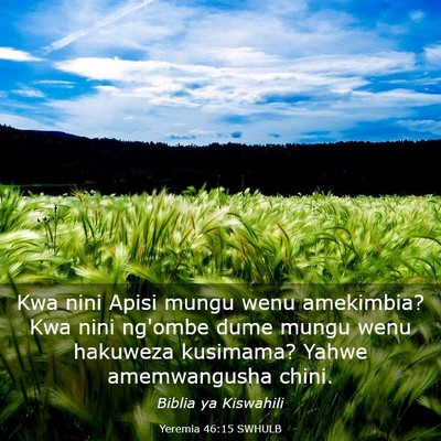 Picture 03 - Yeremia 46:15 SWHULB - Kwa nini Apisi mungu wenu amekimbia? Kwa nini - Bible Verse Picture
