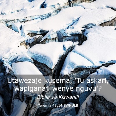 Picture 03 - Yeremia 48:14 SWHULB - Utawezaje kusema, 'Tu askari, wapiganaji wenye - Bible Verse Picture