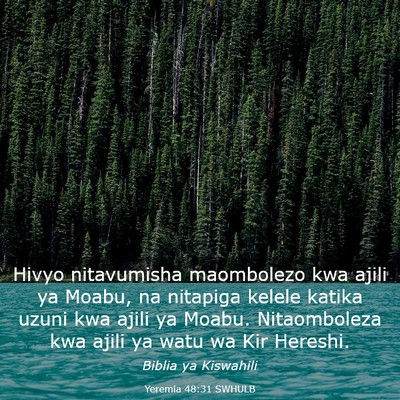 Picture 03 - Yeremia 48:31 SWHULB - Hivyo nitavumisha maombolezo kwa ajili ya Moabu, - Bible Verse Picture