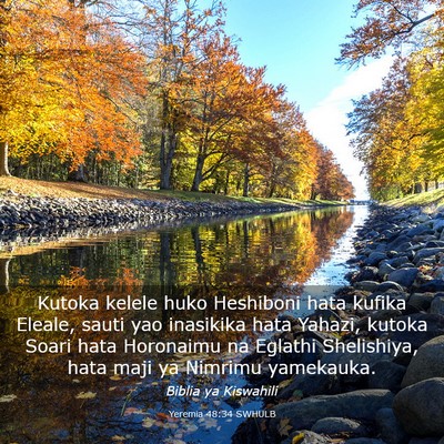 Picture 03 - Yeremia 48:34 SWHULB - Kutoka kelele huko Heshiboni hata kufika Eleale, - Bible Verse Picture