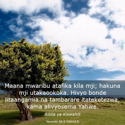 Picture 03 - Yeremia 48:8 SWHULB - Maana mwaribu atafika kila mji; hakuna mji - Bible Verse Picture