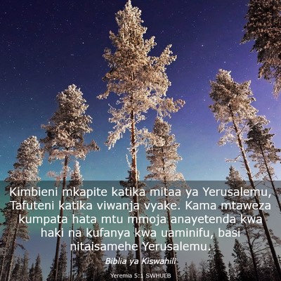Picture 03 - Yeremia 5:1 SWHULB - Kimbieni mkapite katika mitaa ya Yerusalemu, - Bible Verse Picture