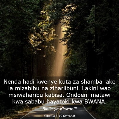 Picture 03 - Yeremia 5:10 SWHULB - Nenda hadi kwenye kuta za shamba lake la mizabibu - Bible Verse Picture