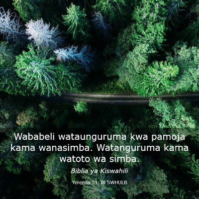 Picture 03 - Yeremia 51:38 SWHULB - Wababeli wataunguruma kwa pamoja kama wanasimba. - Bible Verse Picture
